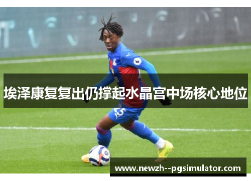 埃泽康复复出仍撑起水晶宫中场核心地位 埃泽康复复出仍撑起水晶宫中场核心地位