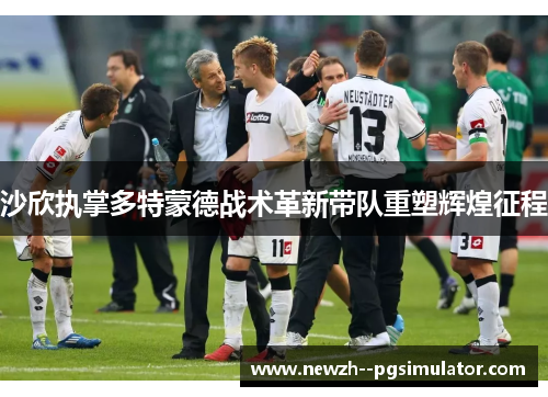 沙欣执掌多特蒙德战术革新带队重塑辉煌征程 沙欣执掌多特蒙德战术革新带队重塑辉煌征程